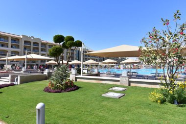 Süslü çalılar-Hurghada-Mısır çeşitli şekillerde parlak renklerde, havuz kenarındaki yeşil desenli yapraklar ve doğu tarzı binalar 