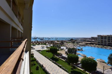 Süslü çalılar-Hurghada-Mısır çeşitli şekillerde parlak renklerde, havuz kenarındaki yeşil desenli yapraklar ve doğu tarzı binalar 