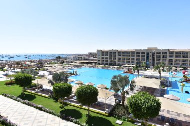 Süslü çalılar-Hurghada-Mısır çeşitli şekillerde parlak renklerde, havuz kenarındaki yeşil desenli yapraklar ve doğu tarzı binalar 