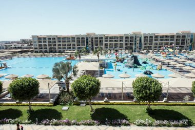 Süslü çalılar-Hurghada-Mısır çeşitli şekillerde parlak renklerde, havuz kenarındaki yeşil desenli yapraklar ve doğu tarzı binalar 