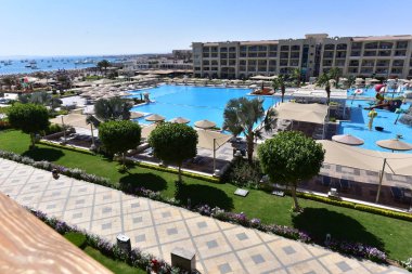 Süslü çalılar-Hurghada-Mısır çeşitli şekillerde parlak renklerde, havuz kenarındaki yeşil desenli yapraklar ve doğu tarzı binalar 