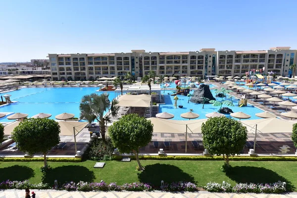 Sierheesters Hurghada Egypte Van Verschillende Vormen Felle Kleuren Met Groenblijvende — Stockfoto