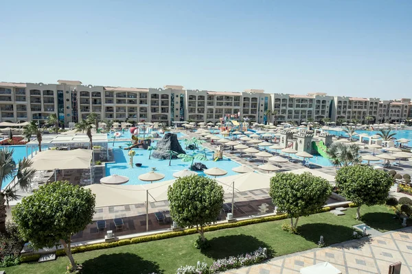 Sierheesters Hurghada Egypte Van Verschillende Vormen Felle Kleuren Met Groenblijvende — Stockfoto