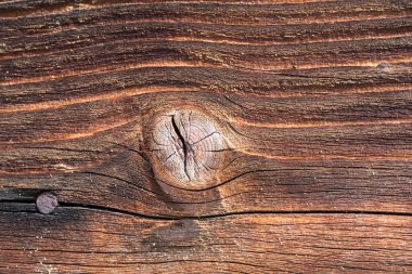 Eski ahşap doku. Ahşap çeşitli bitki dokularından oluşur: vasküler doku, lifler, yedek parenksima..