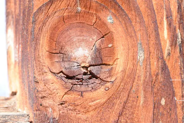 Textura Madera Vieja Madera Compone Varios Tipos Tejidos Vegetales Tejido —  Fotos de Stock