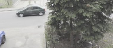 1936 'da Novaci' de inşa edilen duvar kilisesi Novaci 'nin merkezinde bir tepenin üzerine kurulmuş bir Ortodoks Hıristiyan kilisesidir..