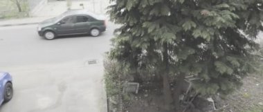 1936 'da Novaci' de inşa edilen duvar kilisesi Novaci 'nin merkezinde bir tepenin üzerine kurulmuş bir Ortodoks Hıristiyan kilisesidir..