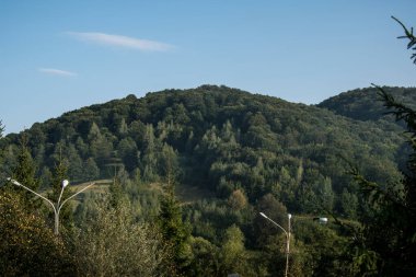 Iza Vadisi 'nin tarihsel Maramures manzarası. Sabahın sessizliği ve doğanın birden fazla gölgesinde yeşilliğin eski çağlardan kalma donmuş gibi göründüğü manzaralar.