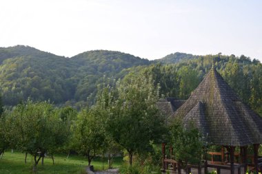 Brsana Manastırı 'nda, koruyucu aziz ve diğer etkinlikler vesilesiyle dini ayinlerin yapıldığı sunak. Ahşap Maramures kiliseleri tarzında ahşaptan yapılmıştır.