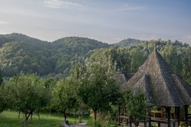 Brsana Manastırı 'nda, koruyucu aziz ve diğer etkinlikler vesilesiyle dini ayinlerin yapıldığı sunak. Ahşap Maramures kiliseleri tarzında ahşaptan yapılmıştır.