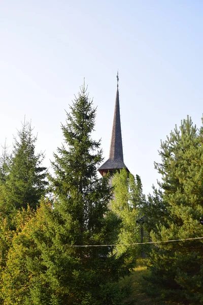 The Maramures wooden church from Barsana belongs to the large family of Romanian wooden churches, with the multiple roof (in steps) narrow but high, with long towers at the western end of the church