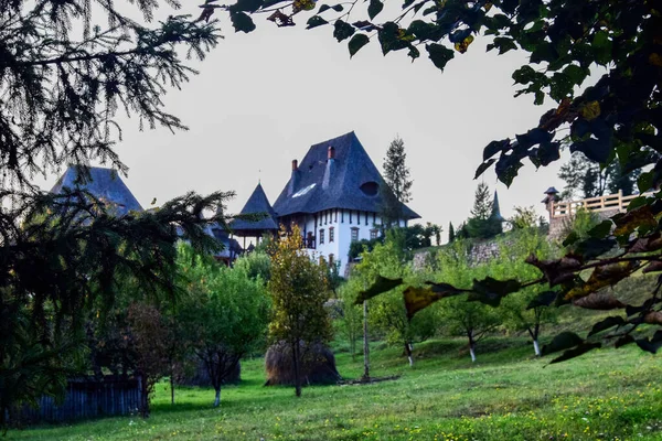 Monastero Ortodosso Brsana Complesso Monastico Che Ospita Nello Spazio Naturale — Foto Stock