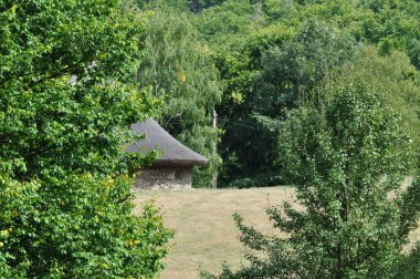 Yeşil çayır manzarası, farklı özlerden ağaçlarla dolu bir orman ve Prislop Manastırı 'ndaki rahibelerin evi için bir hücre. 