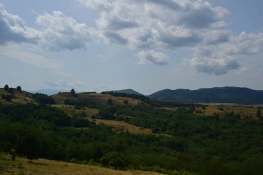 Yeşil çayır manzarası, farklı özlerden ağaçlarla dolu bir orman ve Prislop Manastırı 'ndaki rahibelerin evi için bir hücre. 