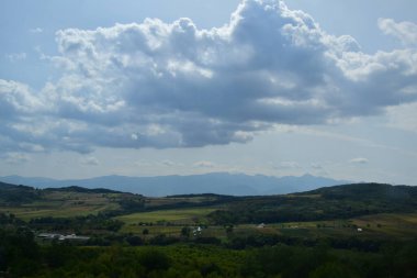 Yeşil çayır manzarası, farklı özlerden ağaçlarla dolu bir orman ve Prislop Manastırı 'ndaki rahibelerin evi için bir hücre. 