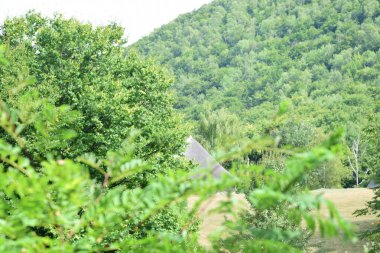 Yeşil çayır manzarası, farklı özlerden ağaçlarla dolu bir orman ve Prislop Manastırı 'ndaki rahibelerin evi için bir hücre. 