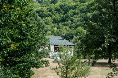 Yeşil çayır manzarası, farklı özlerden ağaçlarla dolu bir orman ve Prislop Manastırı 'ndaki rahibelerin evi için bir hücre. 