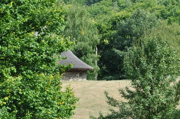 Landscape Green Meadows Forest Trees Different Essences Cell Nuns House — Stock Photo, Image