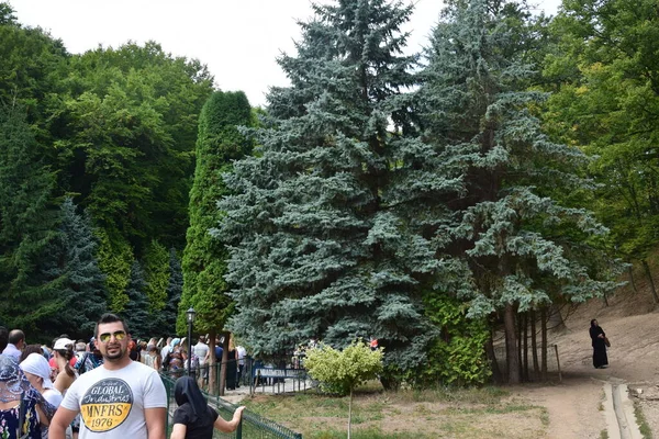 Der Kleine Friedhof Innerhalb Des Prislop Klosters Pater Arsenie Boca — Stockfoto