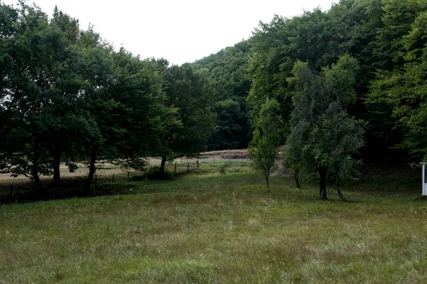在普里洛普修道院 绿草如茵的风景 树木繁茂的森林 以及修女之家的牢房 — 图库照片