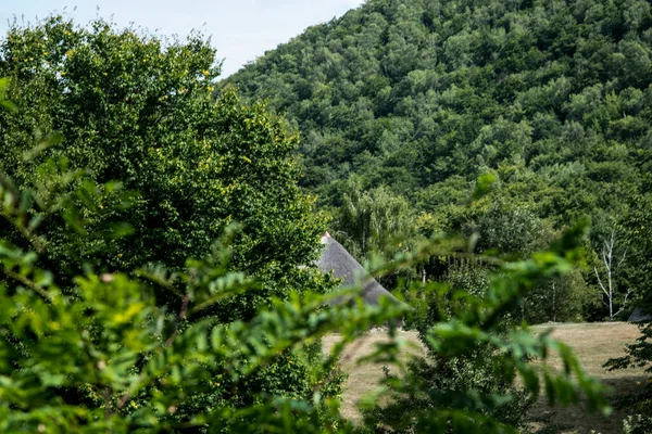 在普里洛普修道院 绿草如茵的风景 树木繁茂的森林 以及修女之家的牢房 — 图库照片