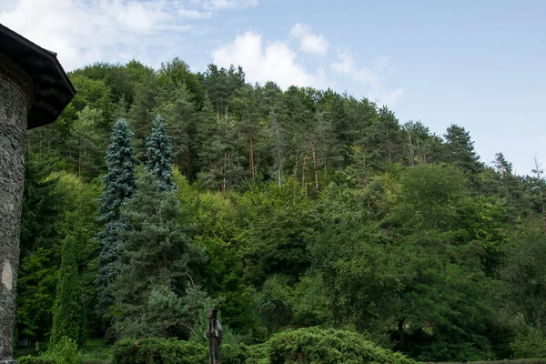 Пейзаж Зелеными Лугами Лес Деревьями Различной Эссенции Келью Монахинь Монастыре — стоковое фото
