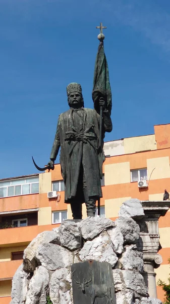1821 Devrimi 'nin lideri, Pandurlar' ın lideri ve Eflak 'ın Lordu. Gorj ilçesinin Vladimir köyünde doğdu. 