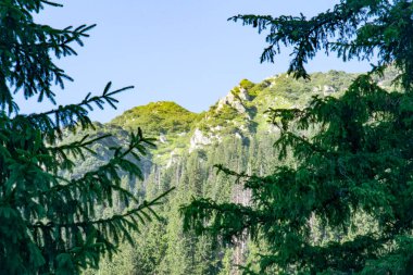 Fagaras Dağları, Güney Karpatlar 'ın bir parçası olan ve Romanya' nın en yüksek dağ zirvesi olan 2544 metre irtifaya sahip dağlık bir kitleyi temsil etmektedir.
