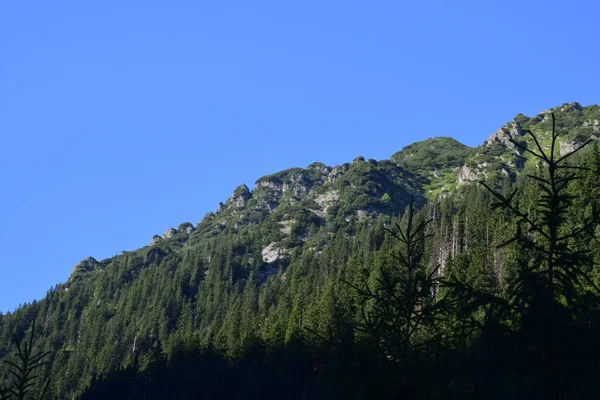 ファガラス山脈は 南カルパティア山脈の一部である山岳地帯を表し ルーマニアで最も高い山の峰であるモルドヴァヌ山頂で 標高は2 544メートルです — ストック写真