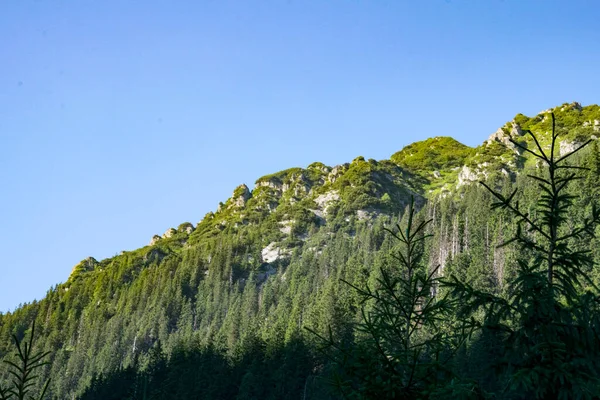 Les Monts Fagaras Représentent Massif Montagneux Qui Fait Partie Des — Photo