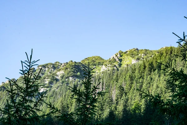 Les Monts Fagaras Représentent Massif Montagneux Qui Fait Partie Des — Photo