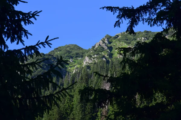 Les Monts Fagaras Représentent Massif Montagneux Qui Fait Partie Des — Photo