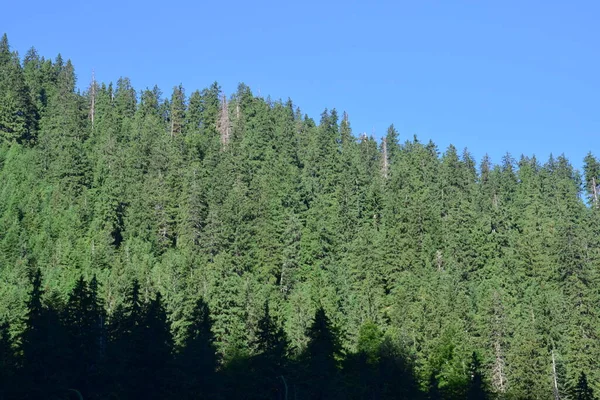 Les Monts Fagaras Représentent Massif Montagneux Qui Fait Partie Des — Photo