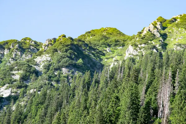 Les Monts Fagaras Représentent Massif Montagneux Qui Fait Partie Des — Photo