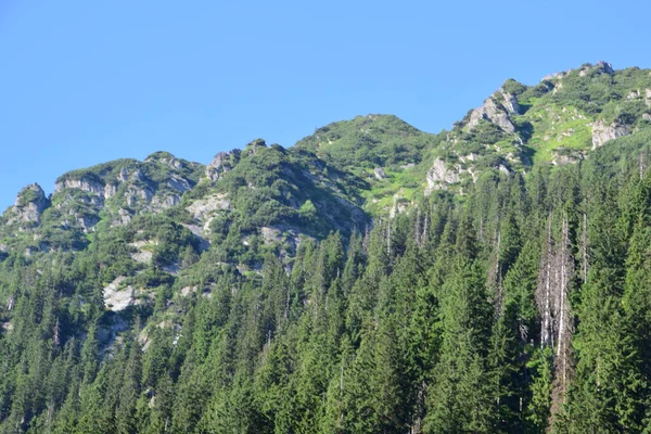 Βουνά Fagaras Αντιπροσωπεύουν Έναν Ορεινό Όγκο Που Είναι Μέρος Των — Φωτογραφία Αρχείου