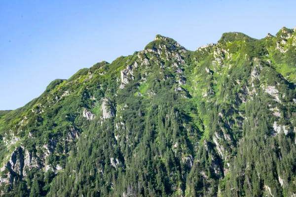 Les Monts Fagaras Représentent Massif Montagneux Qui Fait Partie Des — Photo