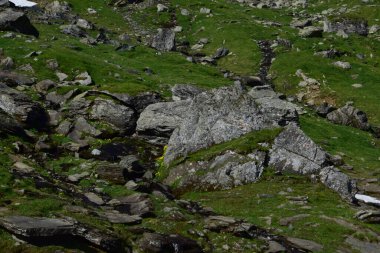 Fagaras Dağları, Güney Karpatlar 'ın bir parçası olan ve Romanya' nın en yüksek dağ zirvesi olan 2544 metre irtifaya sahip dağlık bir kitleyi temsil etmektedir.