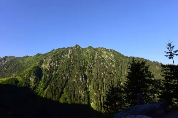 Fagaras Hory Představují Hornatý Masiv Který Součástí Jižních Karpat Němž — Stock fotografie