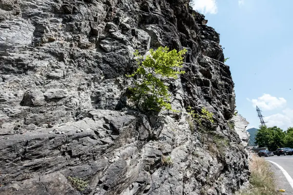 Rocks Pleasa Vidraru Mountain Slopes Represent Natural Support 162 Meter — Stock Photo, Image