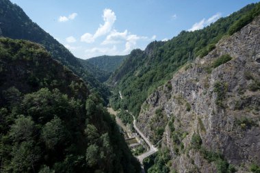 Vidraru göl bölgesinin aşağısındaki Transfagarasan bölgesi çeşitli hayvan türleri için barınak sağlar: geyik, geyik, ayı, kurt, kara keçi, ayva, dağ horozu, su samuru..