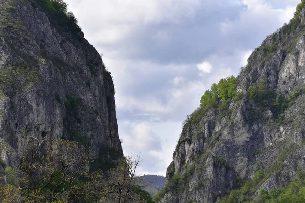 Oltetului Gorges Polovragi Part Natural Reservation Gorj County Have Show — Stock Photo, Image