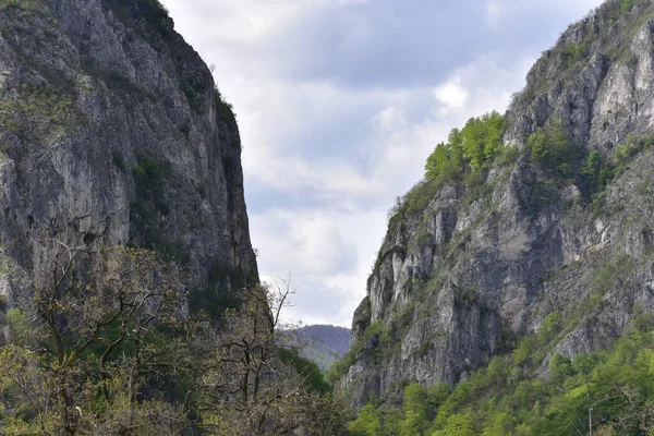 Oltetului Gorges Polovragi Part Natural Reservation Gorj County Have Show — Stock Photo, Image