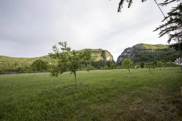 来自Polovragi的Oltetului峡谷是Gorj县自然保护区的一部分 它的景观十分壮观 有瀑布 光秃秃的岩石 山顶上挖掘的洞穴和被各种各样的树木环绕的草地 — 图库照片