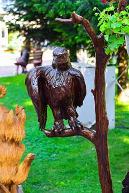 Polovragi, Dacian ocak ahşap heykel kampında, Polovragi Manastırı 'nın önündeki yaylada bulunan tahta heykel, Dacian hükümdarlarını, Dacian bayrağını, Dacian sembollerini, özgür Dacian heykellerini temsil eden ahşap heykeller yer alıyor.