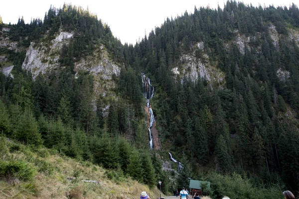 Hästar Vattenfall Ligger Höjd 1300 Rodna Mountains Nationalpark Nära Orten — Stockfoto