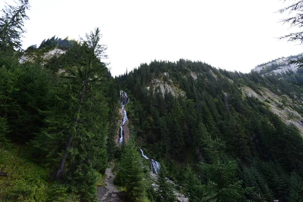 馬90Mの滝があるボルサのリゾートの近くにあるロドナ山脈国立公園の標高1300Mに位置する滝は ルーマニアで最も高い滝と考えられています — ストック写真