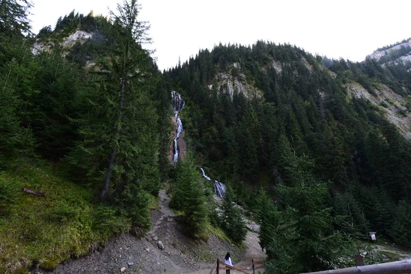 Hästar Vattenfall Ligger Höjd 1300 Rodna Mountains Nationalpark Nära Orten — Stockfoto