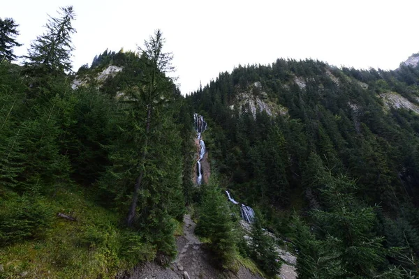 Hästar Vattenfall Ligger Höjd 1300 Rodna Mountains Nationalpark Nära Orten — Stockfoto