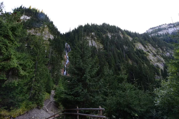 馬90Mの滝があるボルサのリゾートの近くにあるロドナ山脈国立公園の標高1300Mに位置する滝は ルーマニアで最も高い滝と考えられています — ストック写真