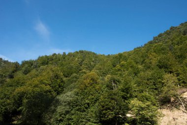 Vaserului Vadisi, Maramure 'nin dağ içi bunalımında, Viseu' yu yukarıdan Karpatya Dağları 'na götürür. 2000 yılından beri Vaser Vadisi' nde turistler için düzenli buhar trenleri bulunmaktadır..